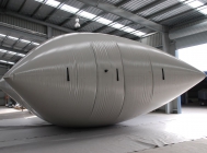 Onion Bladder